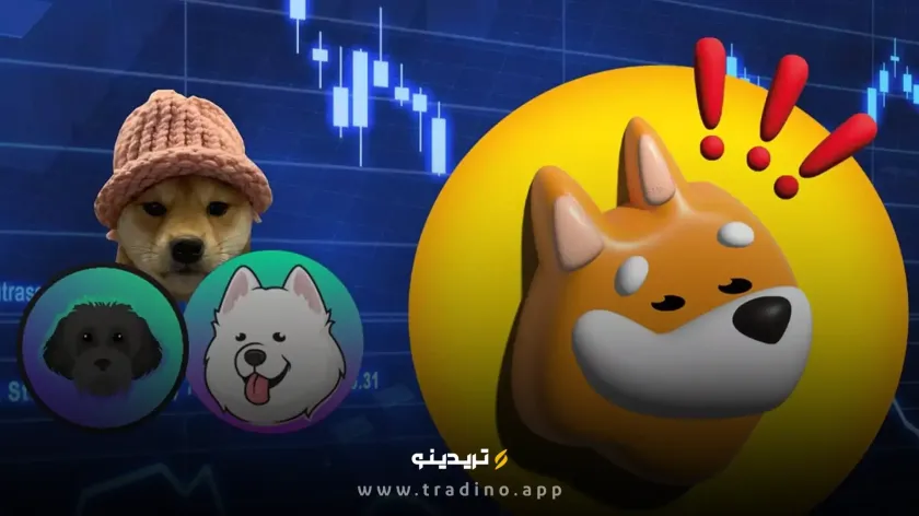 ارز دیجیتال bonk
