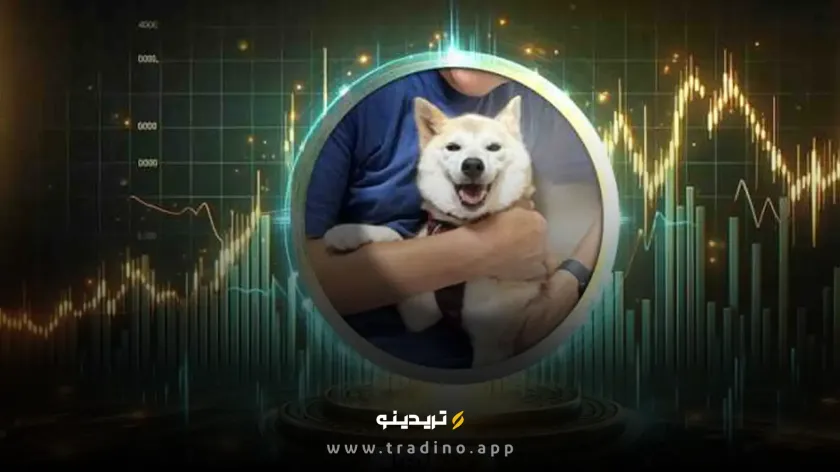 ارز دیجیتال Neiro Ethereum