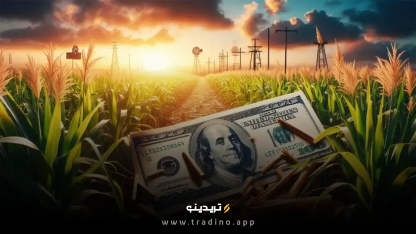 سرمایه‌گذاری ۱۰۰ میلیون دلاری تتر در یک شرکت کشاورزی
