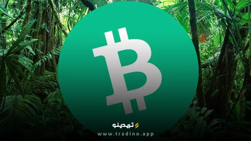 رمز ارز BCH