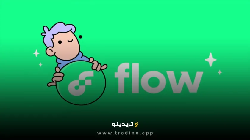 ارز دیجیتال FLOW