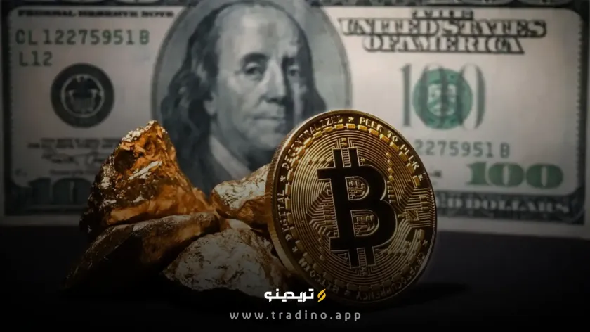 افزایش ۱۸ درصدی تعداد میلیونرهای بیت کوین در سال ۲۰۲۴
