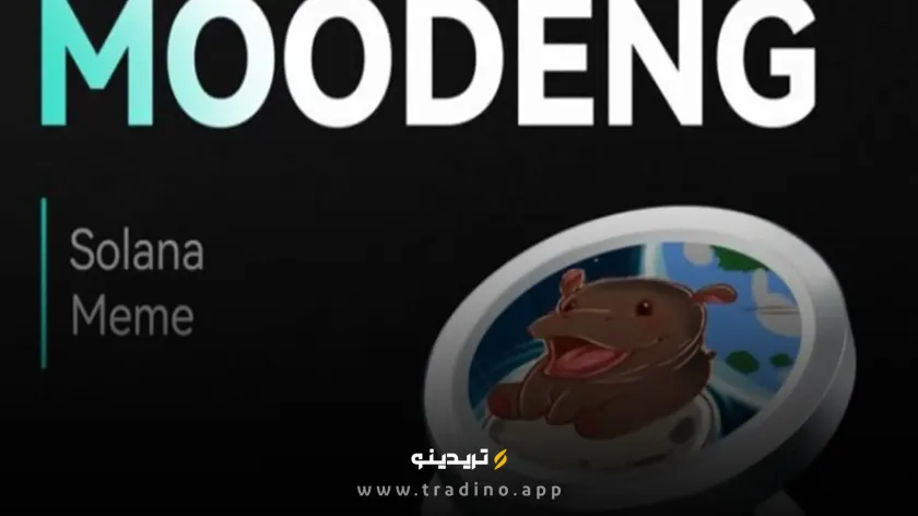 مودینگ ارز