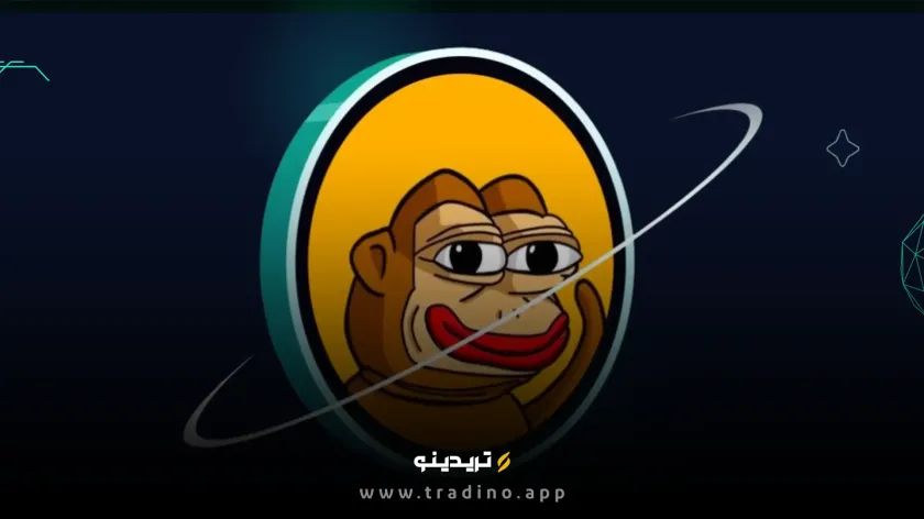 ارز دیجیتال PONKE