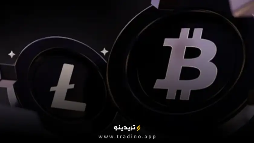 لایت کوین، دومین دارایی با بیشترین زمان نگهداری پس از بیت کوین