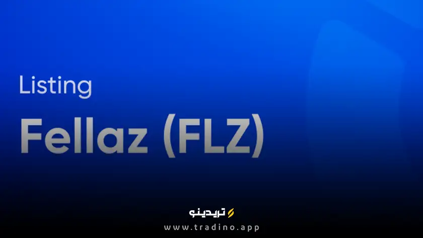ارز دیجیتال flz