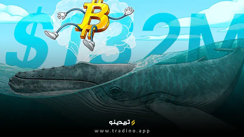افزایش ۱۳۲ میلیون دلاری خرید بیت‌کوین توسط نهنگ‌ها هم‌زمان با پیش‌بینی پیروزی ترامپ