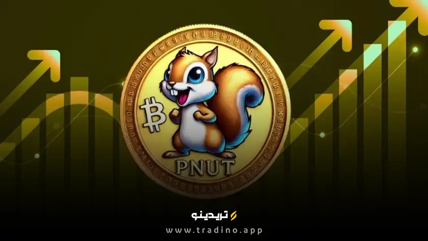ارز دیجیتال PNUT (پی نات) چیست؟ بررسی رمز ارز Pnut