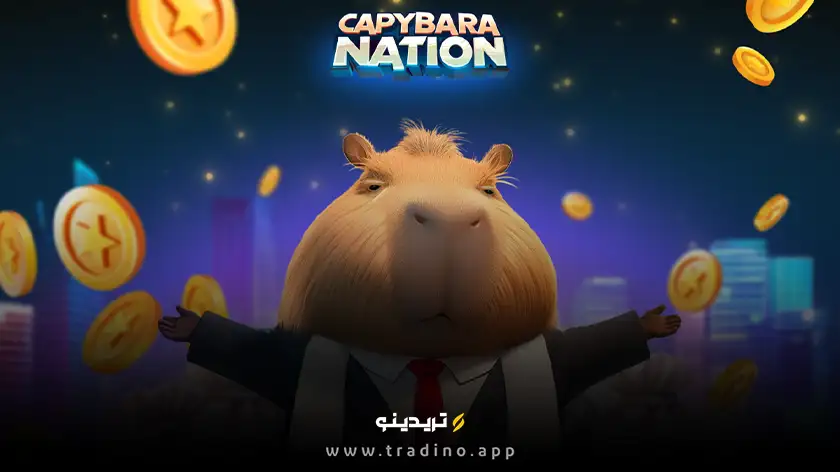 ارز دیجیتال BARA (کپی بارا) چیست؟ بررسی رمز ارز Capybara Nation