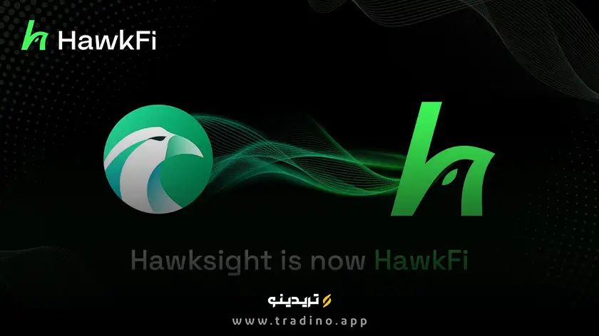 ارز دیجیتال HAWK (هاک فی) چیست؟ بررسی رمز ارز HawkFi