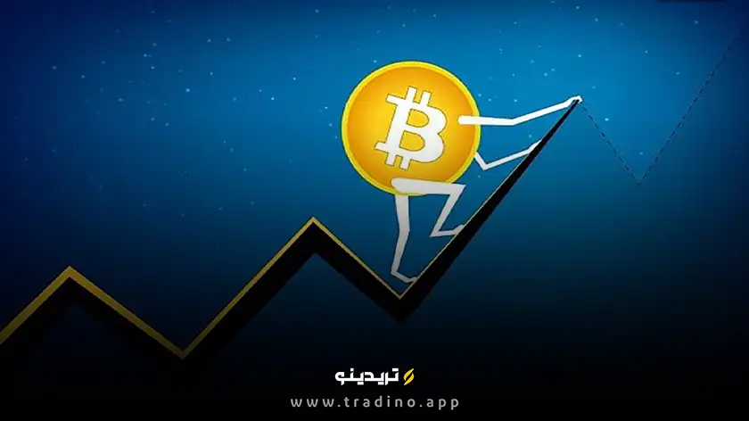 اوج قیمت