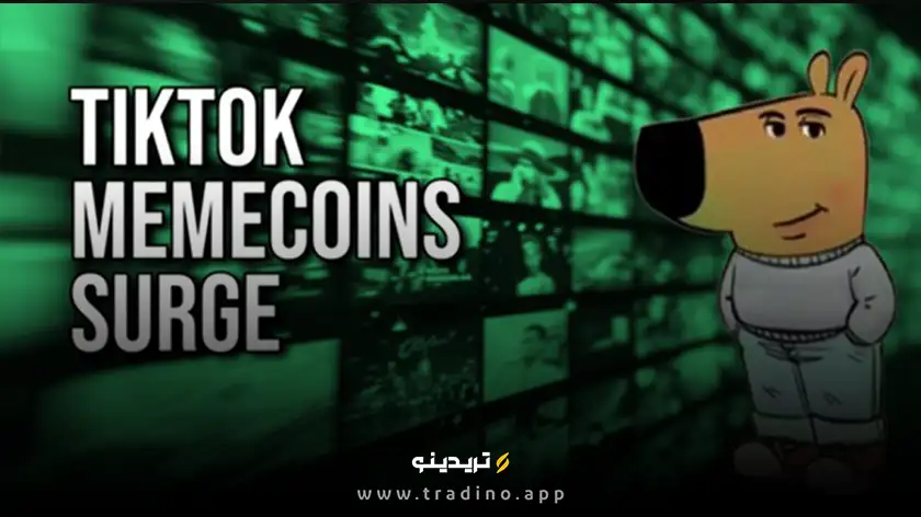 CHILLGUY رمز ارز 