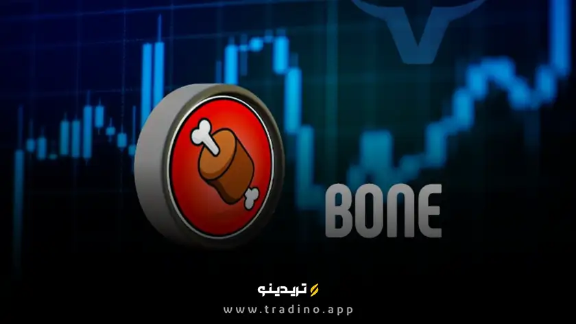 بون شیبا سوآپ (BONE)
