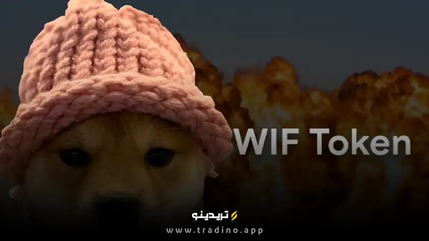 داگ ویف هت (Dogwifhat)