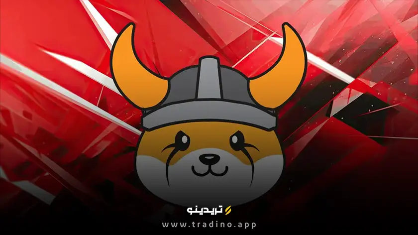 فلوکی اینو (FLOKI)