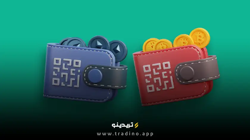 ممو یا تک
