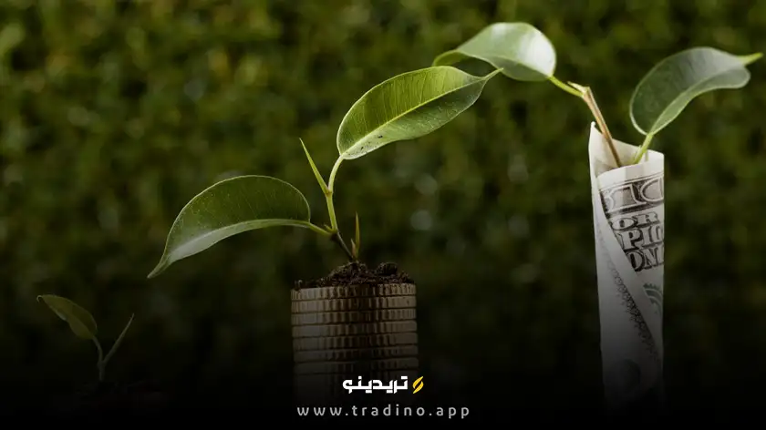 دارایی تورمی و ضد تورمی