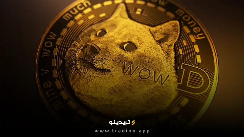 مدیرعامل کناری کپیتال: ETF دوج کوین ارزش سرمایه‌گذاری ندارد
