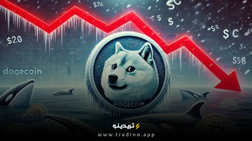 کاهش چشمگیر فعالیت در شبکه دوج کوین