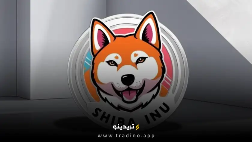 شیبا اینو (SHIB) - رقیب جدی دوج کوین