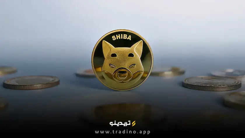 تاریخچهای جذاب از Shiba Inu