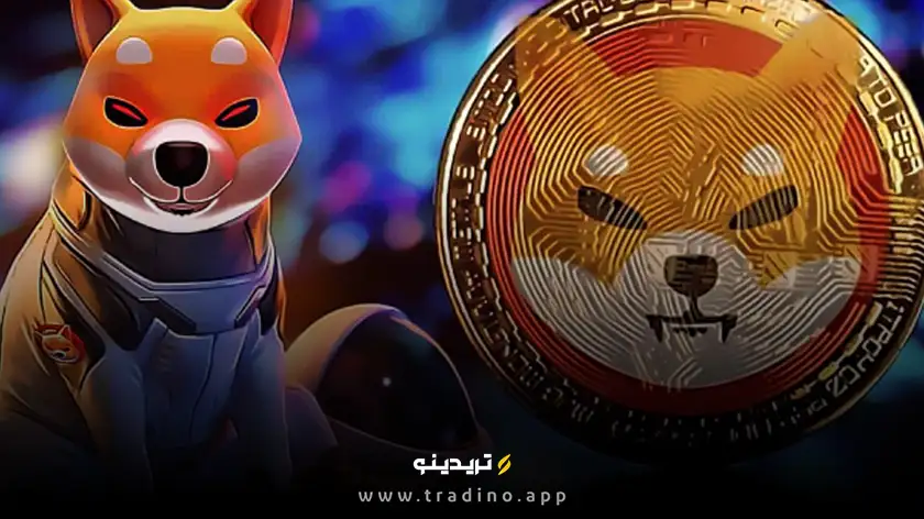 پلتفرمها و قابلیتهای شیبا اینو