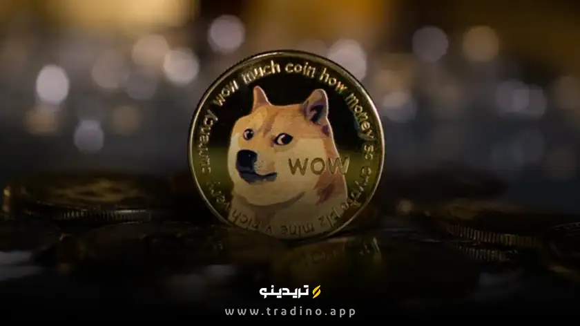 نهنگ‌های دوج کوین در حال فروش شدید؛ سقوط قیمت در راه است؟
