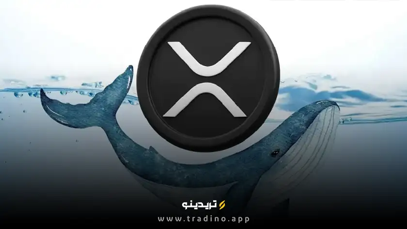 یک نهنگ ریپل ۵۸ میلیون دلار XRP‌ به کوین بیس انتقال داد؛ خطر فروش سنگین؟