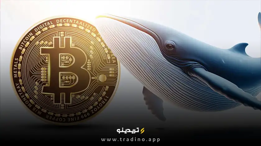 چرا خرید میلیاردی شرکت‌ها قیمت بیت کوین را تکان نمی‌دهد؟