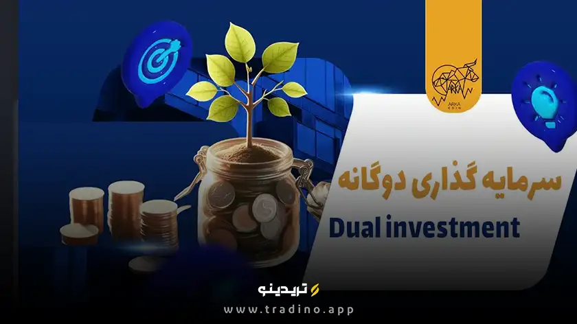  مثال واقعی از سرمایه‌گذاری دوگانه
