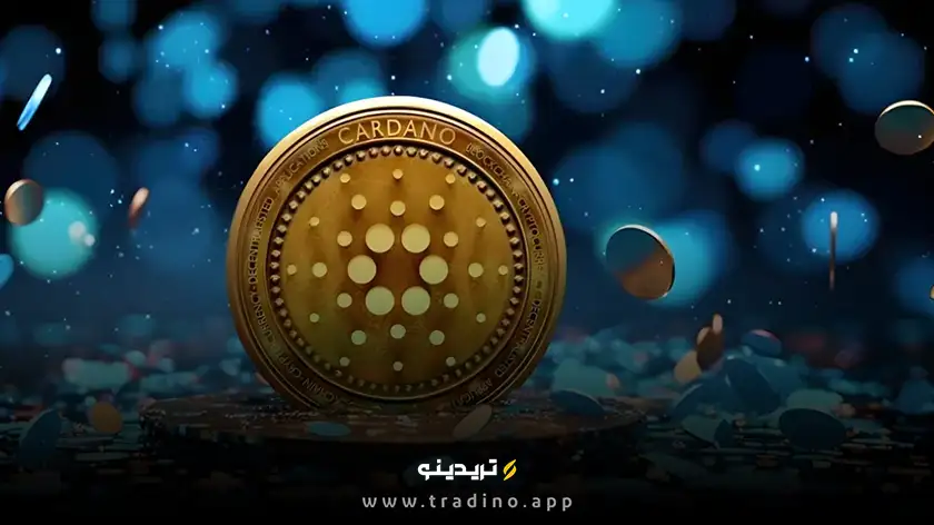 نهنگ‌ها به کاردانو حمله کردند! تراکنش ۲۱۸ میلیون دلاری چه معنایی دارد؟