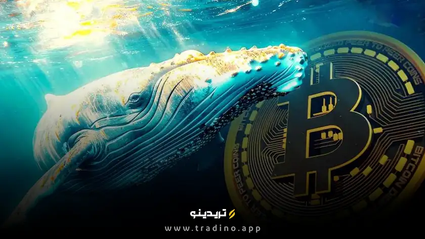 یک نهنگ بیت کوین پس از ۷ سال دارایی خود را به اتریوم تبدیل کرد