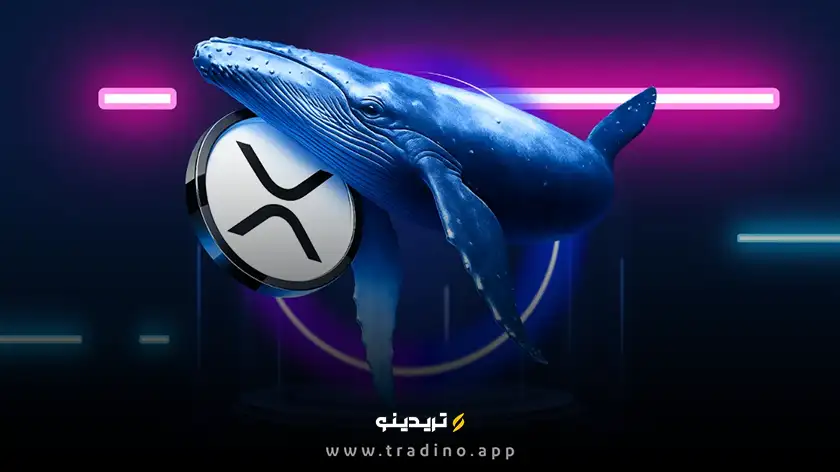 کاهش ۹۰ درصدی ذخایر XRP در صرافی کوین بیس