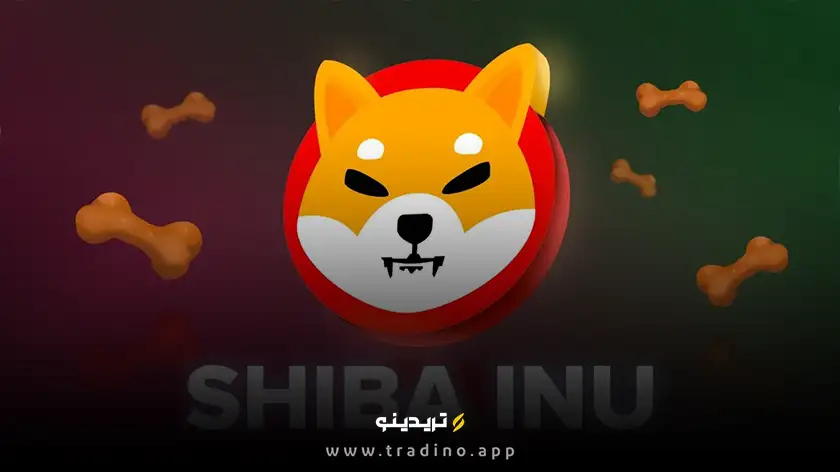 بیش از ۷ میلیون توکن شیبا اینو سوزانده شد!