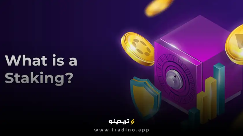 استیکینگ در بایننس