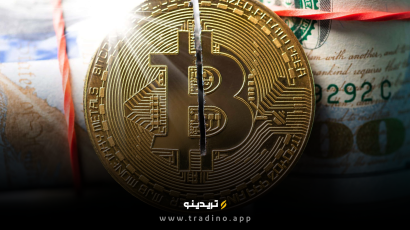 تعداد کیف پول‌های دارای بیش از ۱۰۰ بیت کوین به اوج ۱۷ ماهه رسید