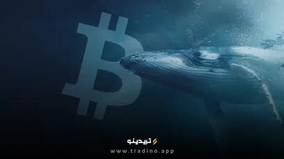 نهنگ‌های ارز دیجیتال ۱۰ میلیارد دلار بیت کوین جدید خریدند