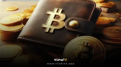 تعداد آدرس‌های بیت کوین با موجودی مثبت از ۵۰ میلیون عبور کرد