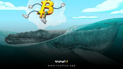 نهنگ‌های قدیمی بیت‌کوین در حال نقد کردن میلیون‌ها دلار