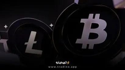 لایت کوین، دومین دارایی با بیشترین زمان نگهداری پس از بیت کوین