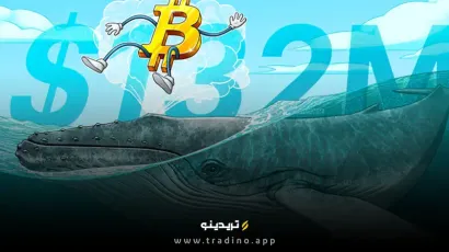 افزایش ۱۳۲ میلیون دلاری خرید بیت‌کوین توسط نهنگ‌ها هم‌زمان با پیش‌بینی پیروزی ترامپ