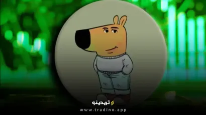 آیا ارز دیجیتال CHILLGUY آینده‌دار است؟ بررسی کامل قبل از سرمایه‌گذاری