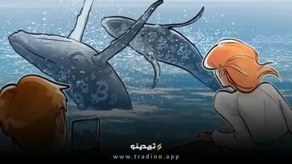 نهنگ‌های بیت‌کوین 34 هزار BTC از زمان سقوط دسامبر خریداری کردند