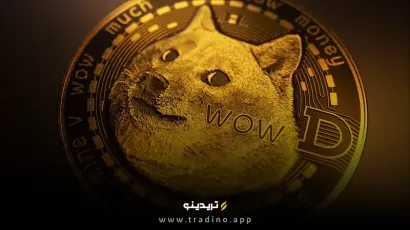 مدیرعامل کناری کپیتال: ETF دوج کوین ارزش سرمایه‌گذاری ندارد