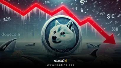 کاهش چشمگیر فعالیت در شبکه دوج کوین