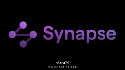 Synapse چیست؟ حقیقتی که هیچ‌کس در مورد این پل دیفای نمی‌گوید!