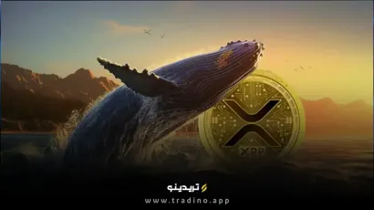 انباشت بی‌سابقه ریپل توسط نهنگ‌ها؛ آیا جهش قیمتی نزدیک است؟