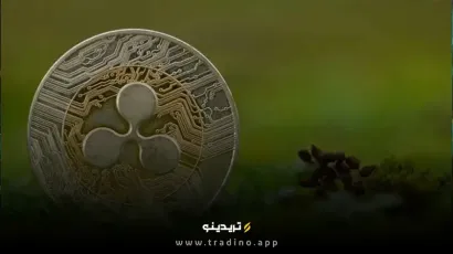 ریپل صندوق ۲۵ میلیون دلاری RLUSD را راه‌اندازی کرد؛ حرکتی بی‌سابقه در آموزش آمریکا