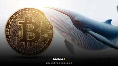چرا خرید میلیاردی شرکت‌ها قیمت بیت کوین را تکان نمی‌دهد؟