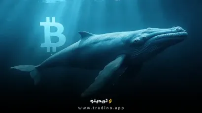 نهنگ خفته بیت کوین پس از ۱۴ سال بیدار شد! هشدار جدی برای بازار؟